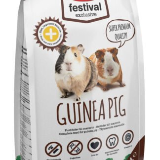 Best Friend Festival Exclusive Guinea pig 900g