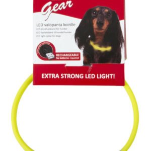 Best Friend dog LED light collar