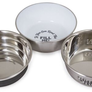 Best Friend Comfy stainless steel bowl