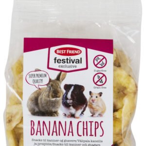 Best Friend Festival Exclusive Banana Chips