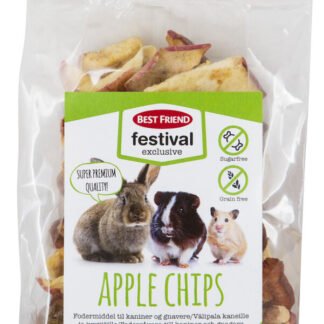 Best Friend Festival Exclusive Apple Chips