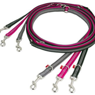 Best Friend dog multipurpose leash